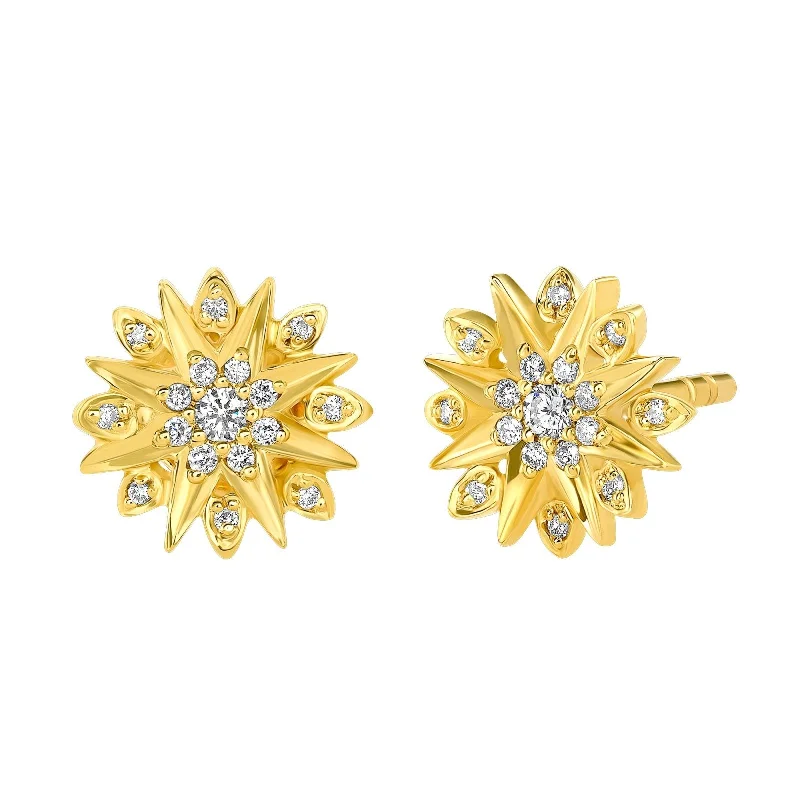 Star Gazer Diamond Earrings